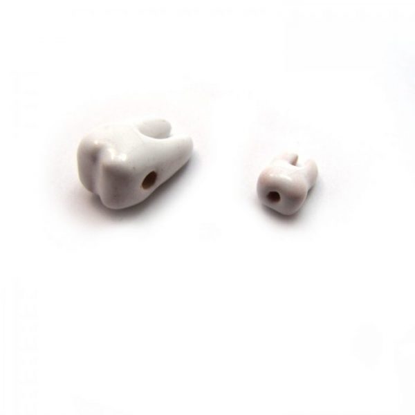 Tooth ceramic beads large and small