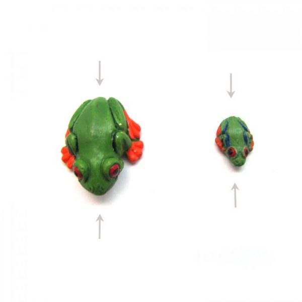 ceramic animal beads large and small - tropical frog