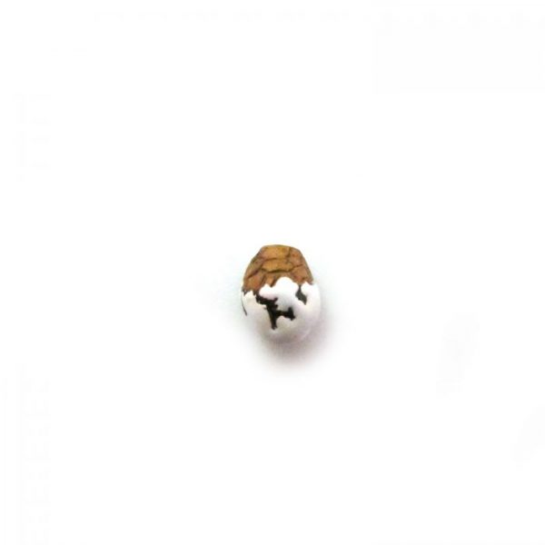 ceramic animal beads large and small - turtle hatching egg