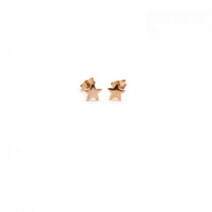 Rose gold vermeil star studs front view